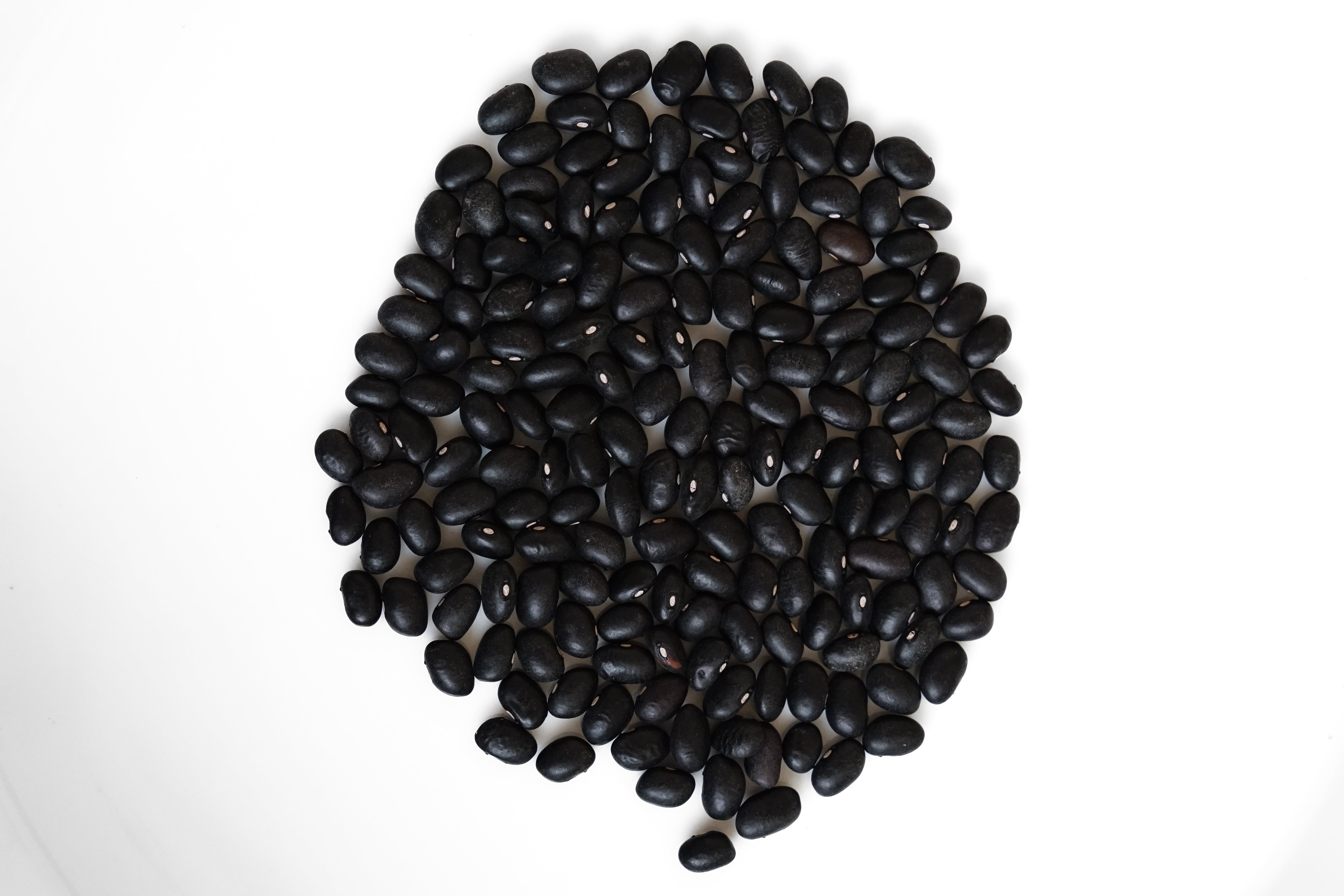 FRIJOLITO NEGRO CRIOLLO (100g)