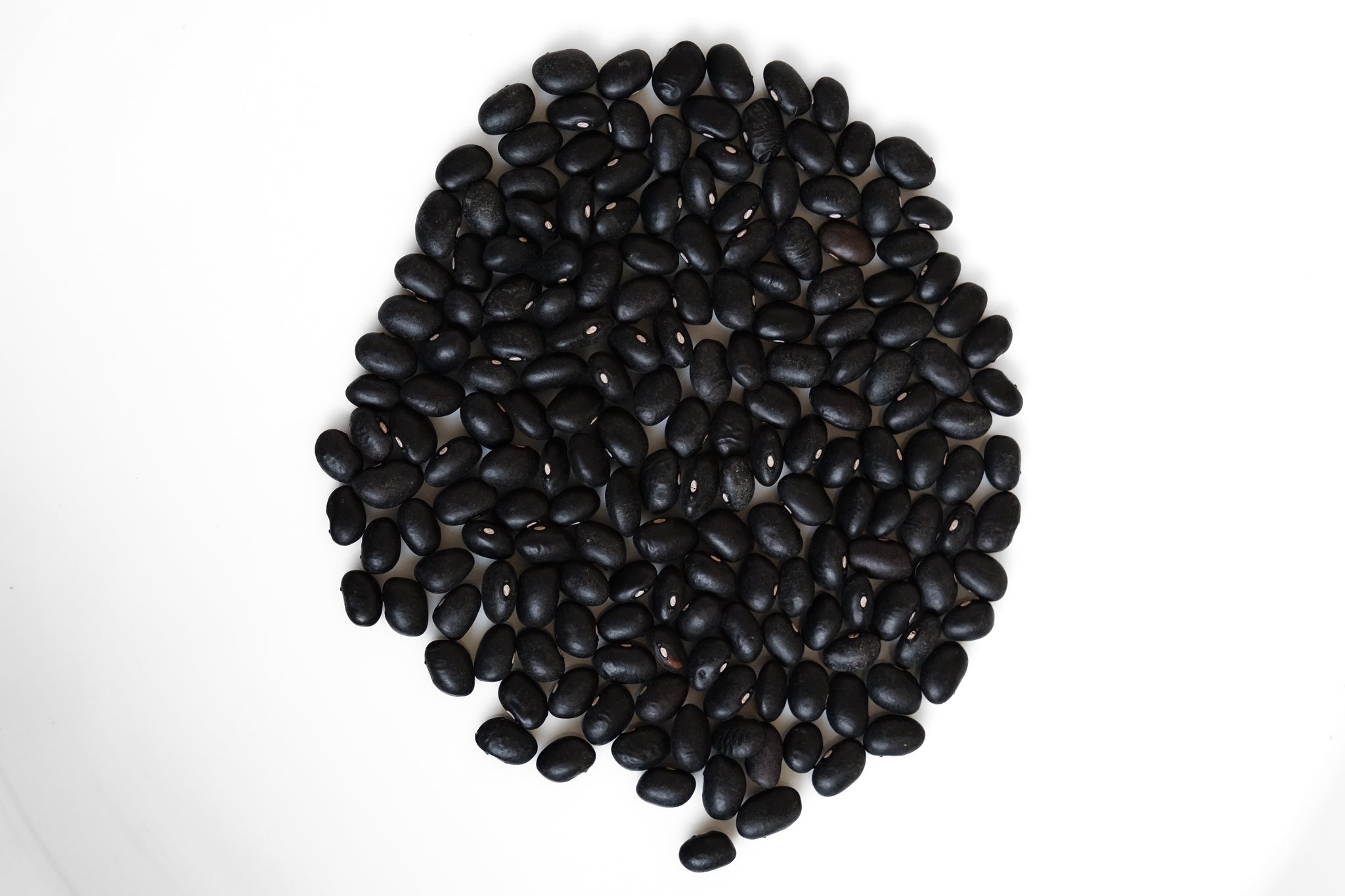 FRIJOLITO NEGRO CRIOLLO (100g)