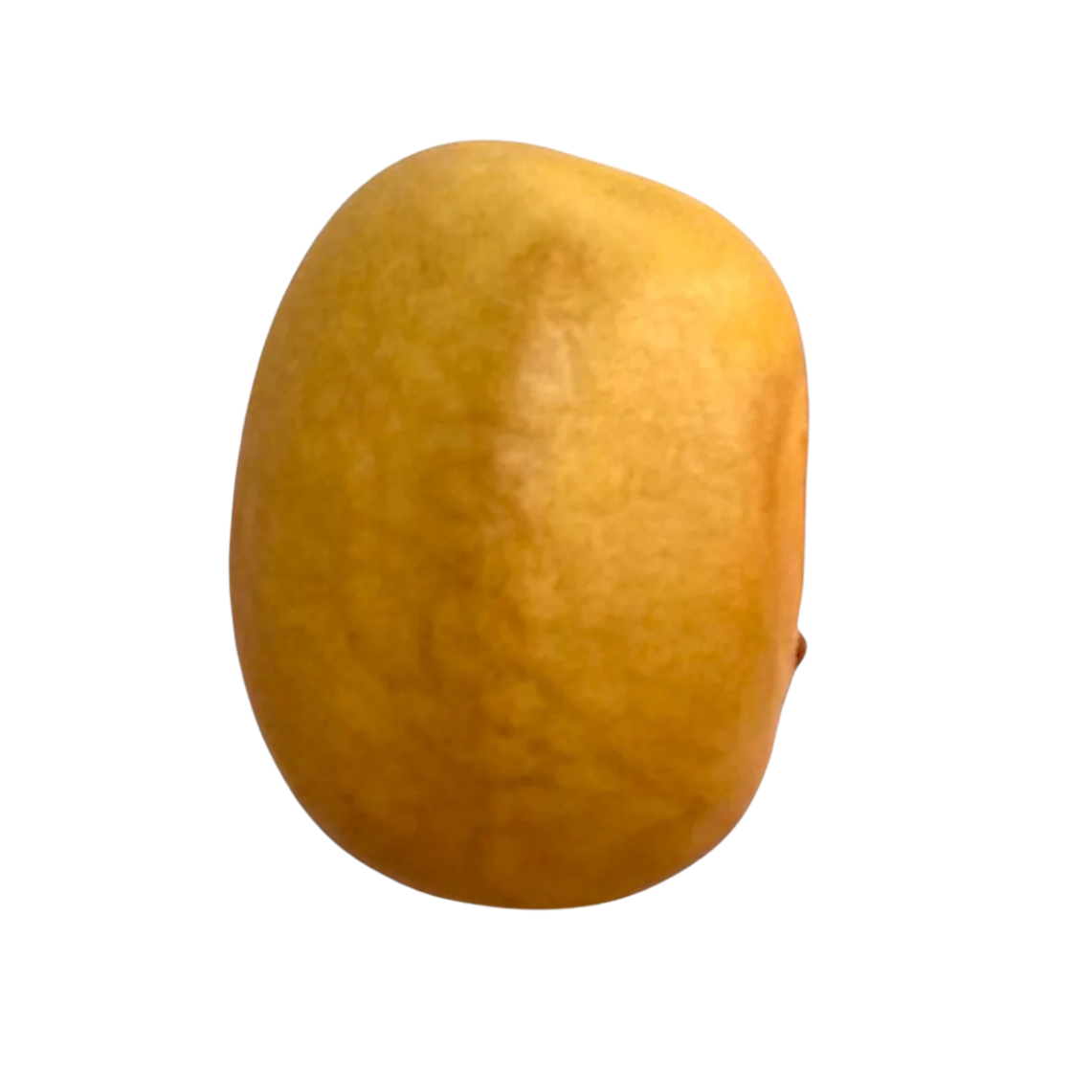 FRIJOL MANTEQUILLA (100g)