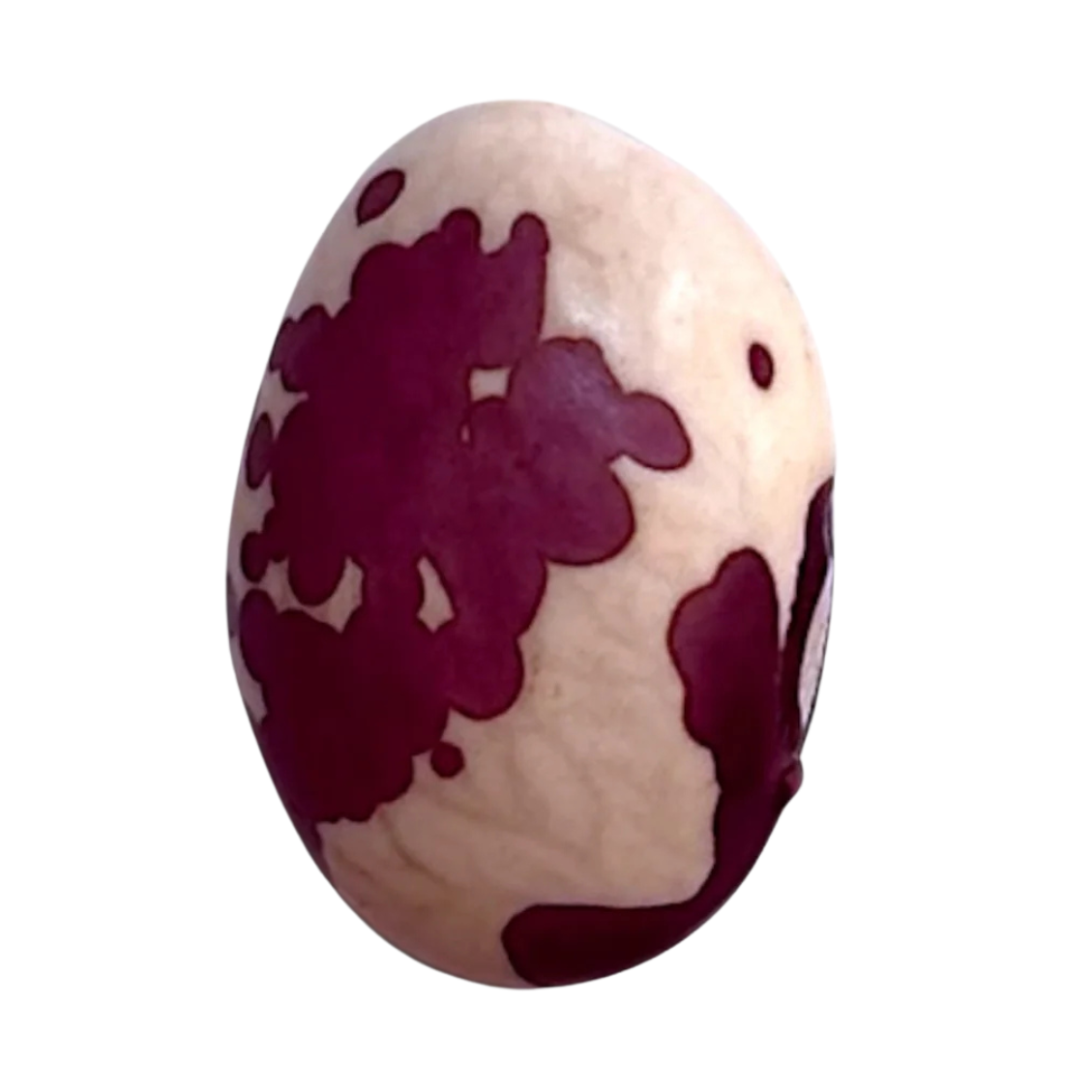 FRIJOL VAQUITA MORADO (100g)
