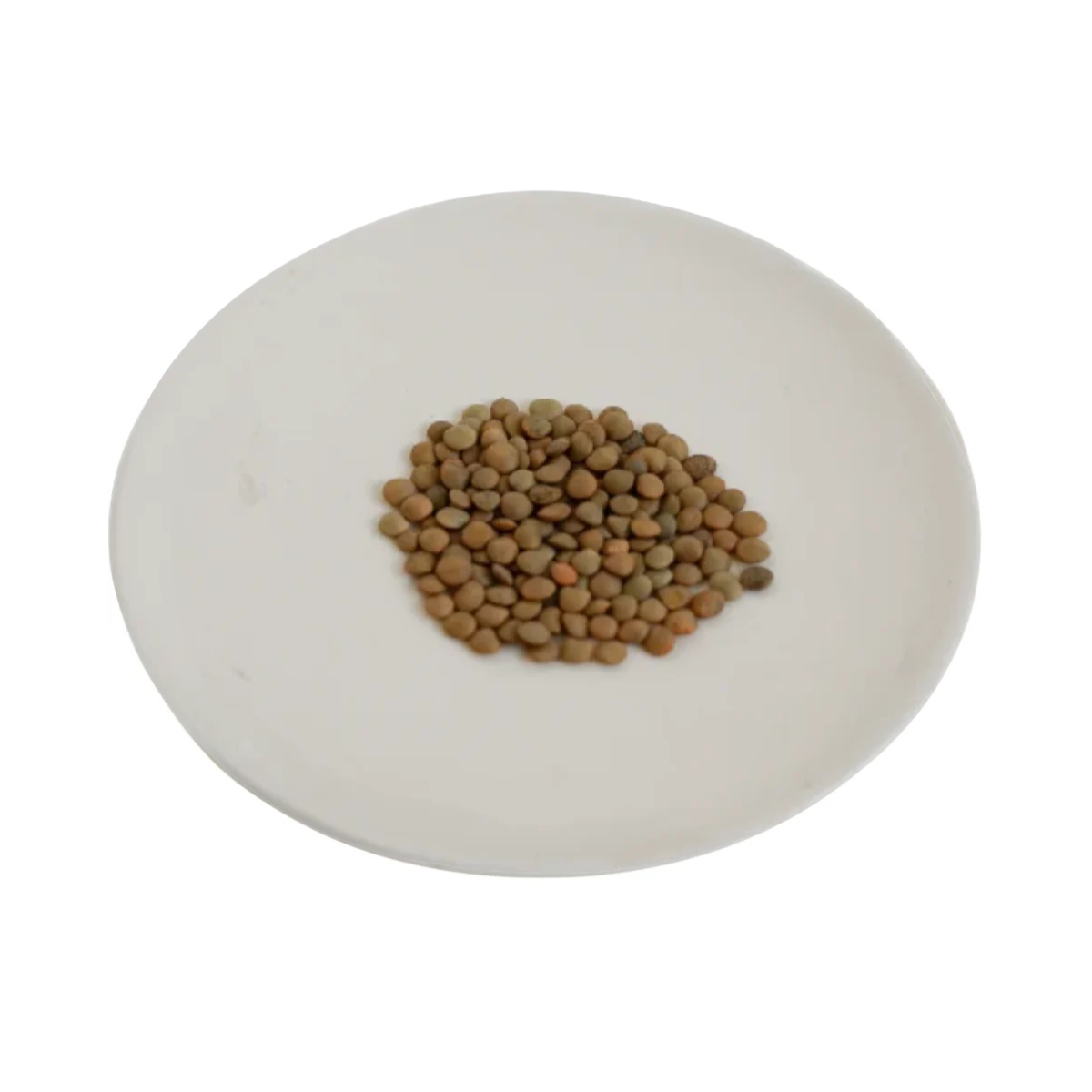 LENTEJA CRIOLLA (100g)