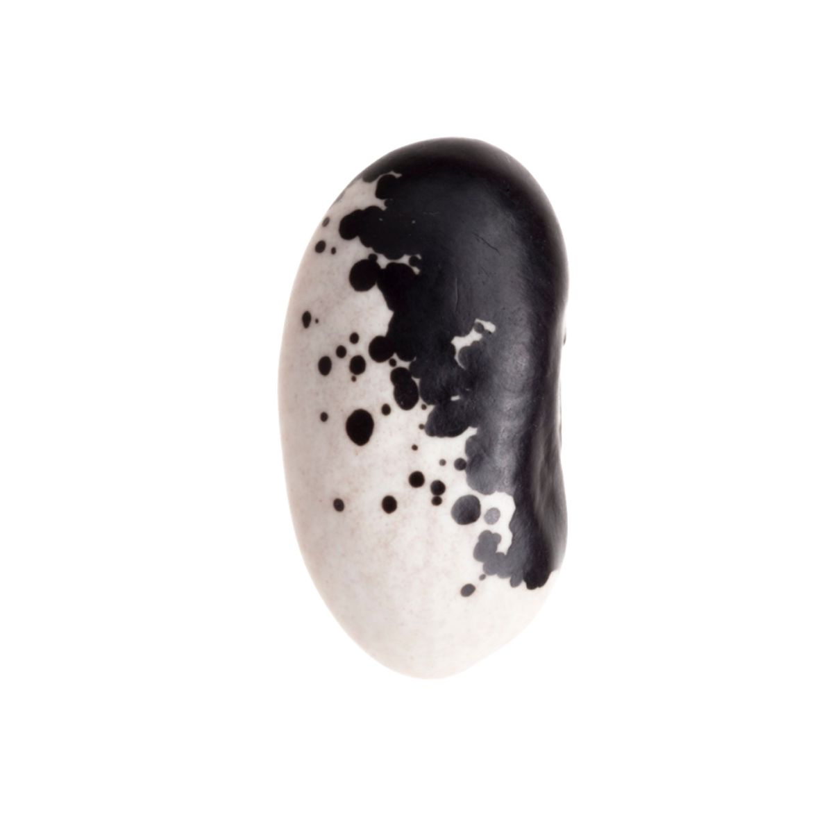FRIJOL VAQUITA NEGRO ARRIÑONADO (100g)