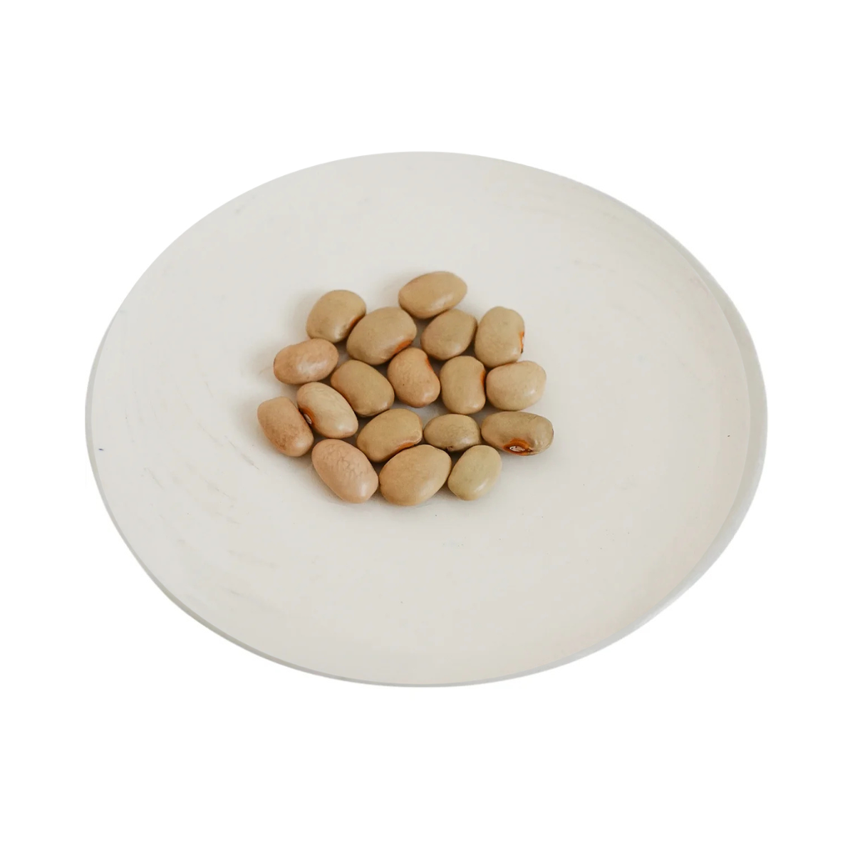 FRIJOL PALACIO (100g)