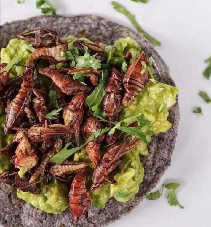 CHAPULINES AL CHILE Y LIMÓN (110g)
