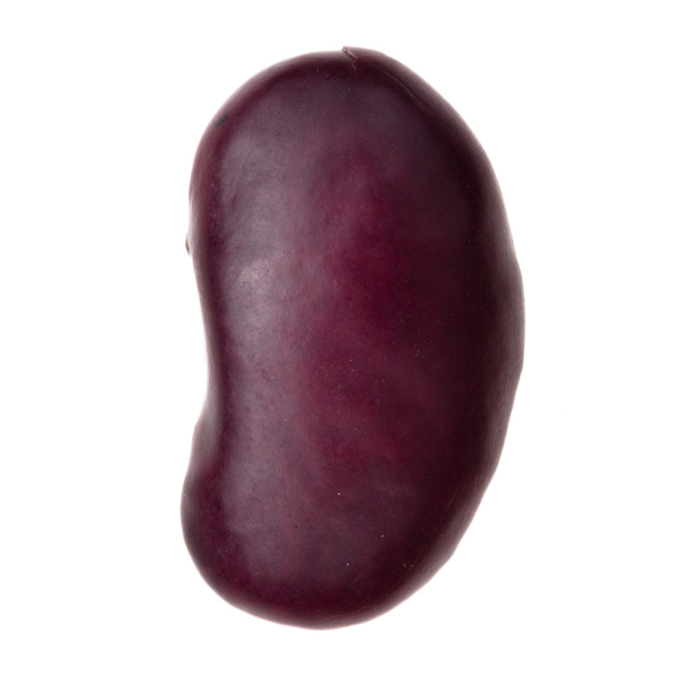 FRIJOL AYOCOTE MORADO (100g)