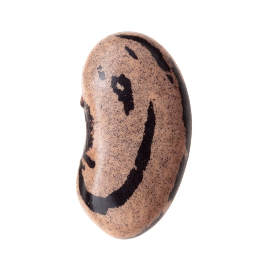 FRIJOL SAN FRANCISCO O SENETE (100g)