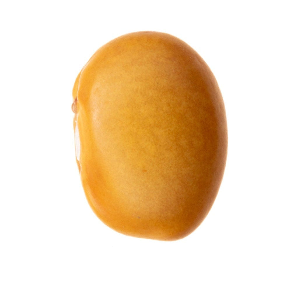 FRIJOL AMARILLO (100g)