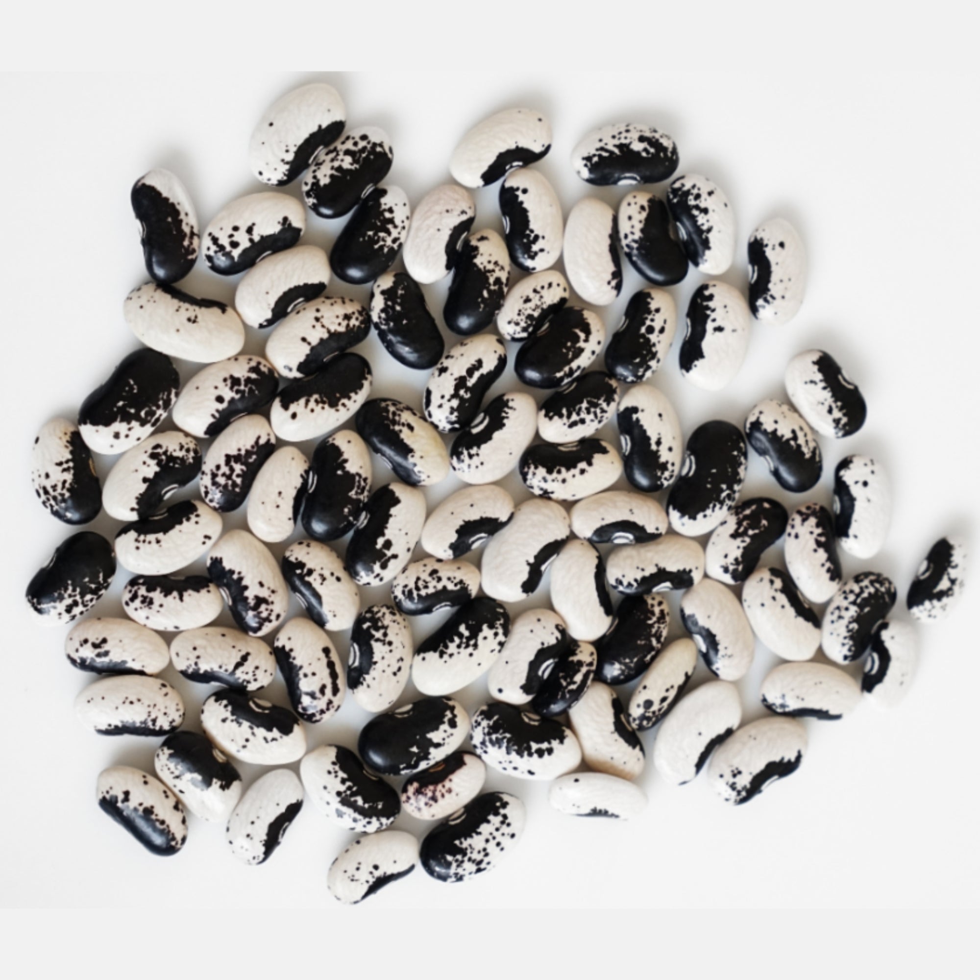 FRIJOL VAQUITA NEGRO ARRIÑONADO (550g)