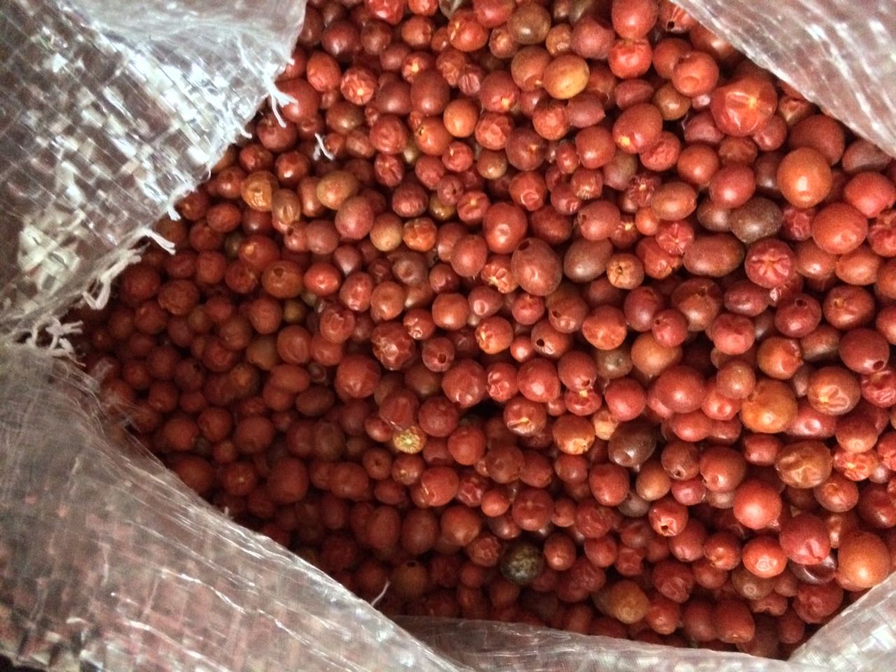 CHILE CHILTEPÍN (100g)