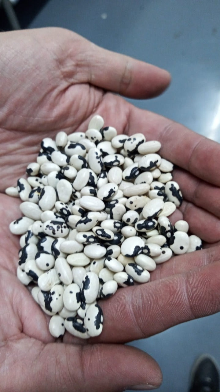 FRIJOL VAQUITA NEGRO BOLA (100g)