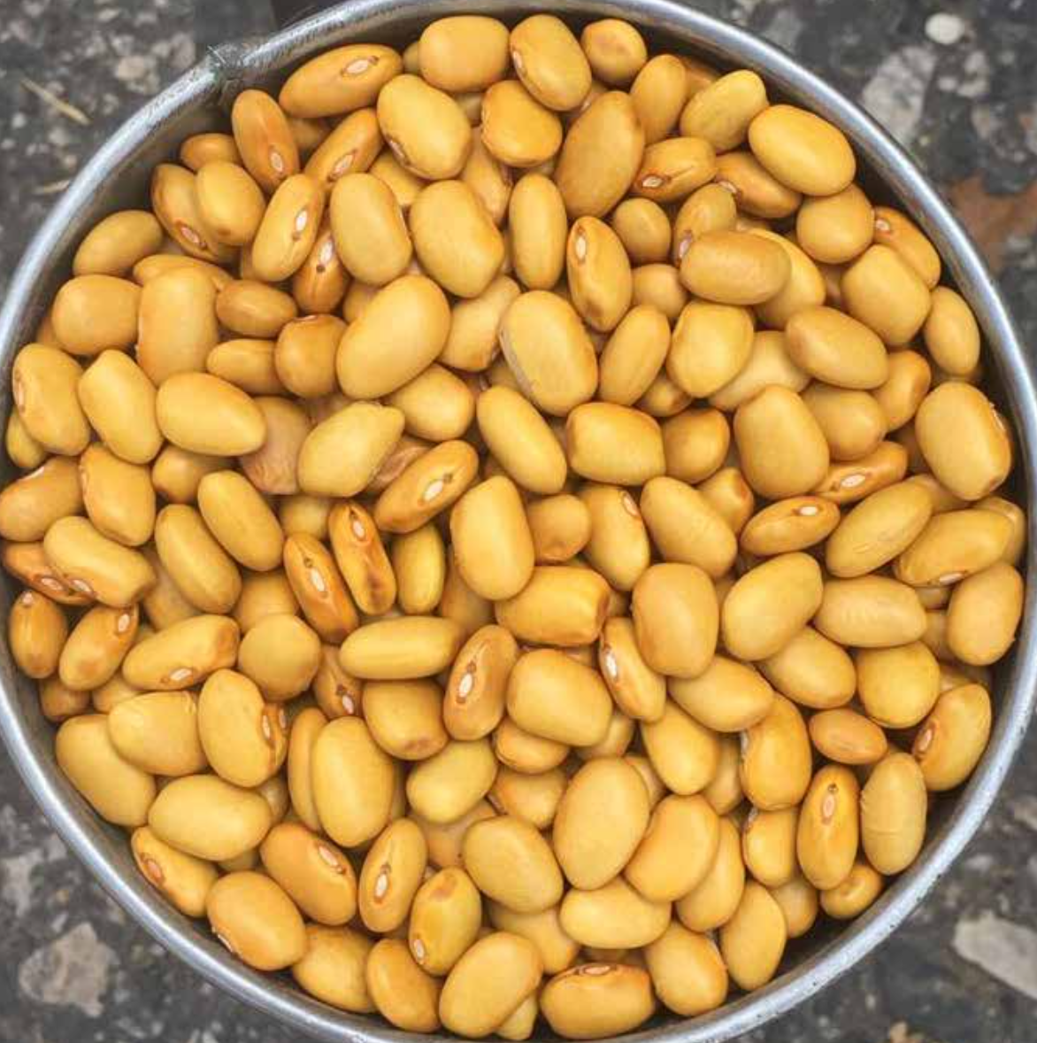 FRIJOL AMARILLO (100g)