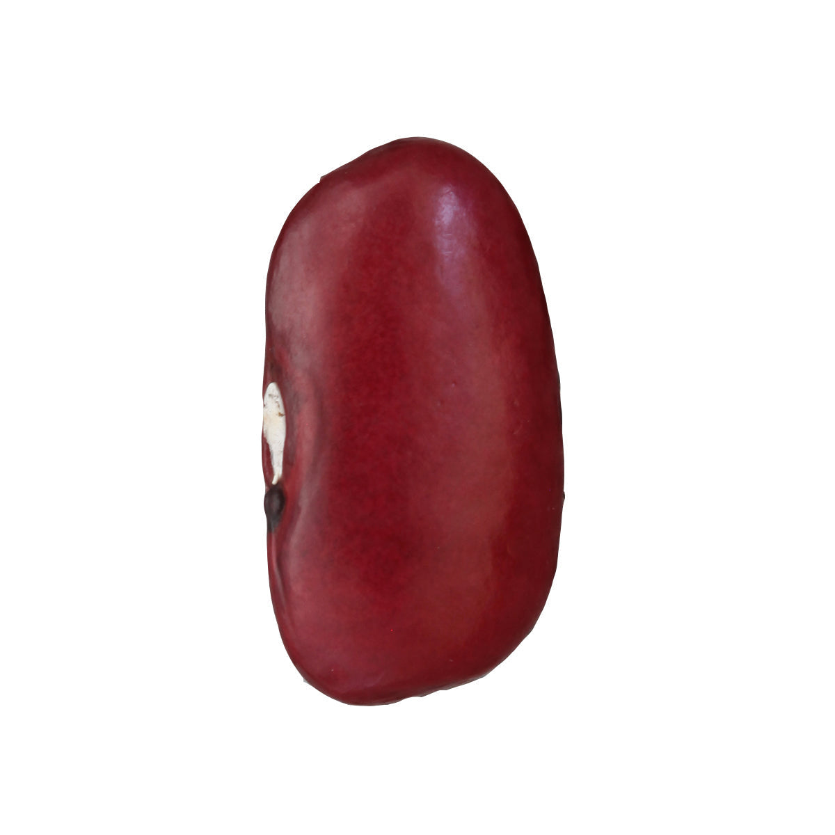 FRIJOL SANGRE DE TORO (100g)