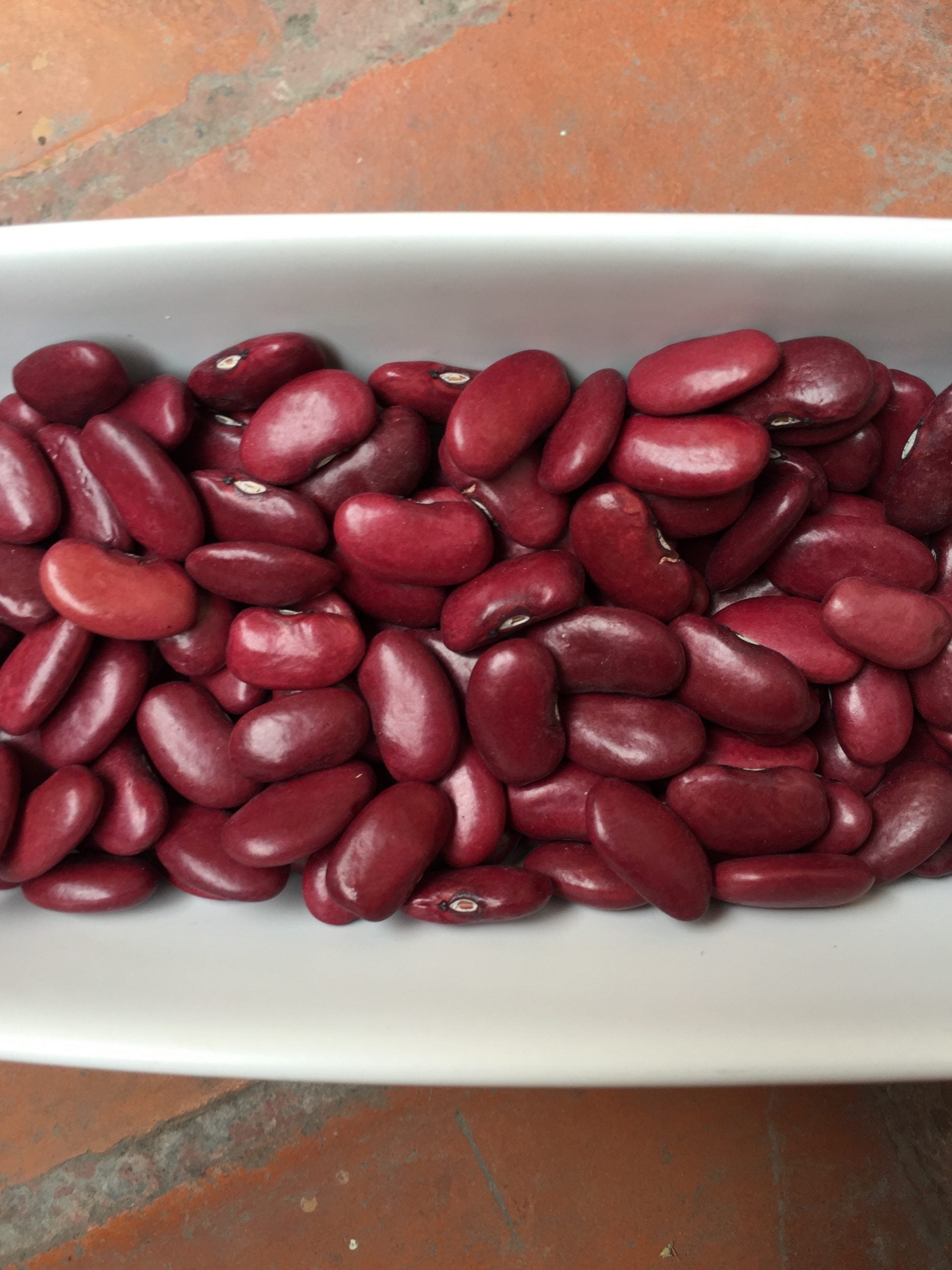FRIJOL SANGRE DE TORO (100g)