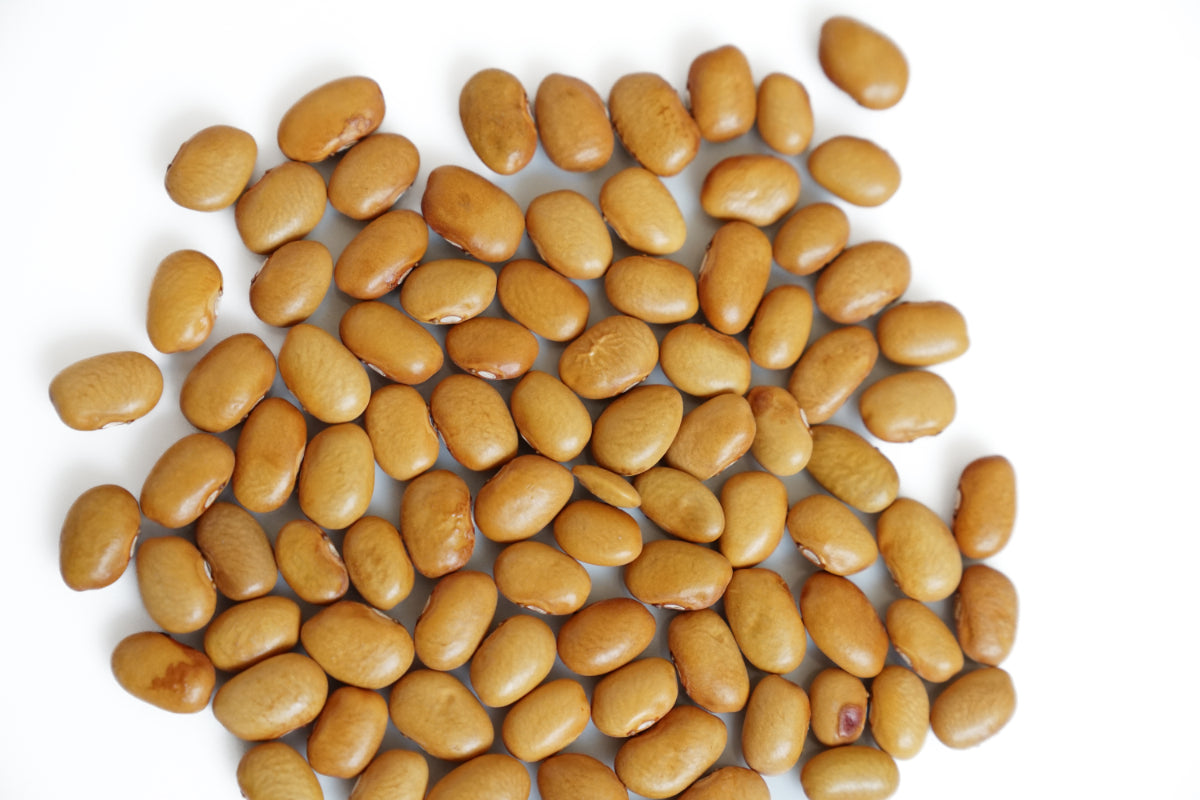 FRIJOL AMARILLO (100g)