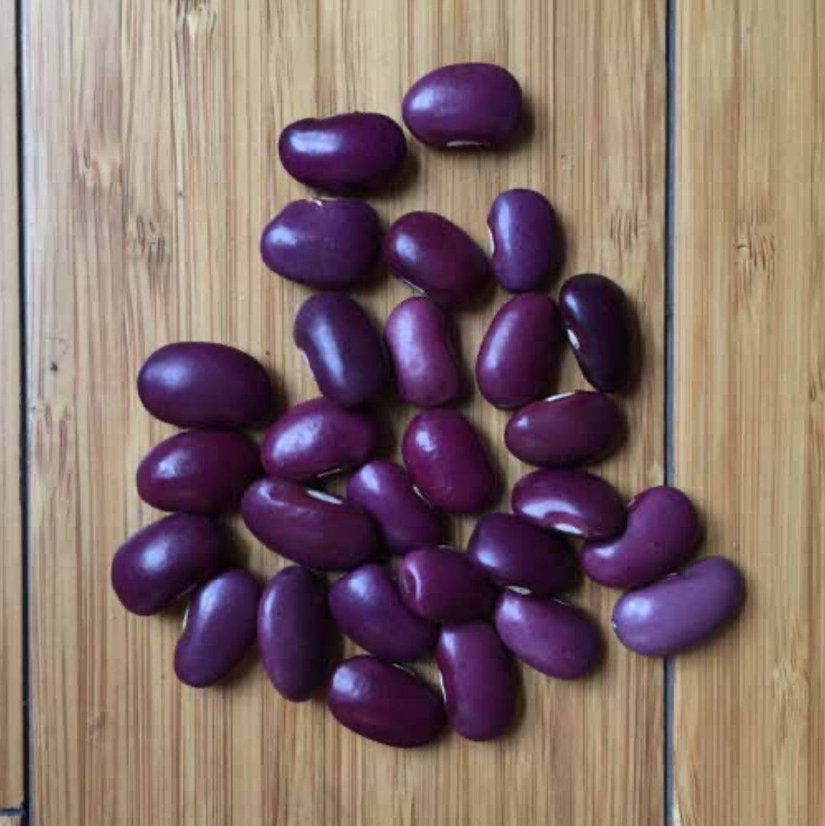 FRIJOL AYOCOTE MORADO (100g)