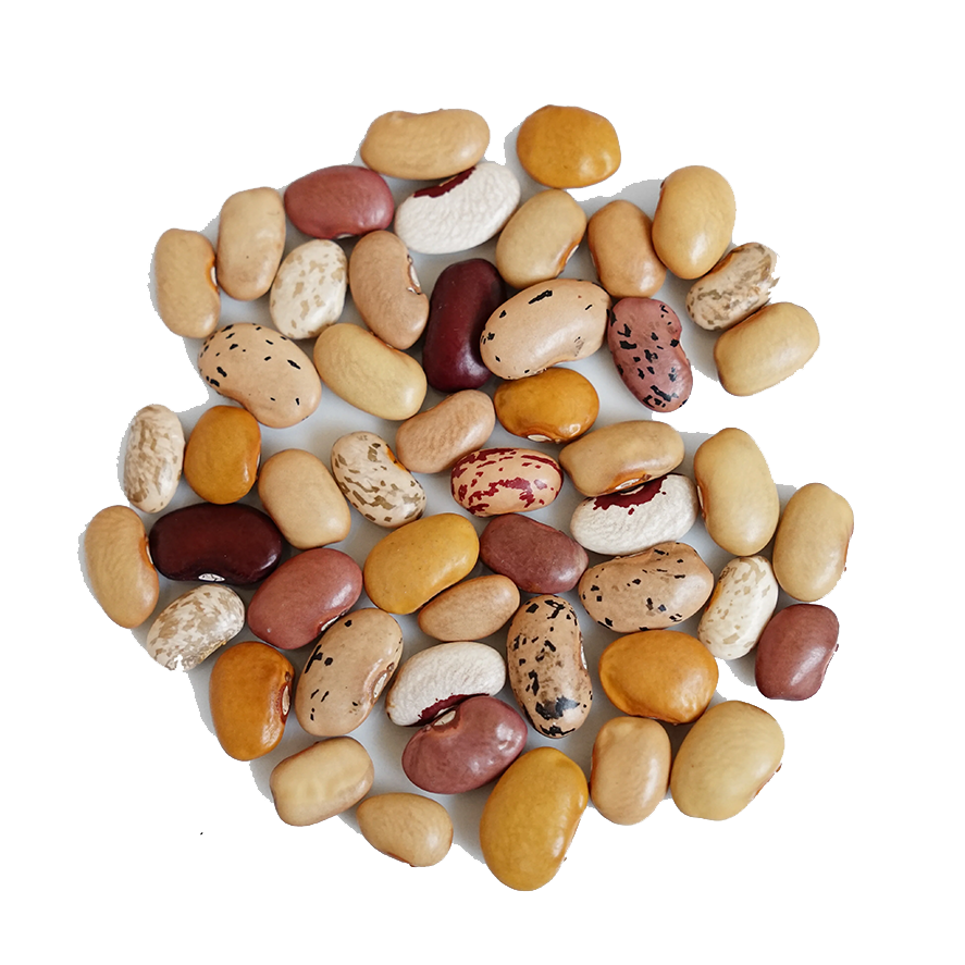 FRIJOL ENSALADILLA (100g)