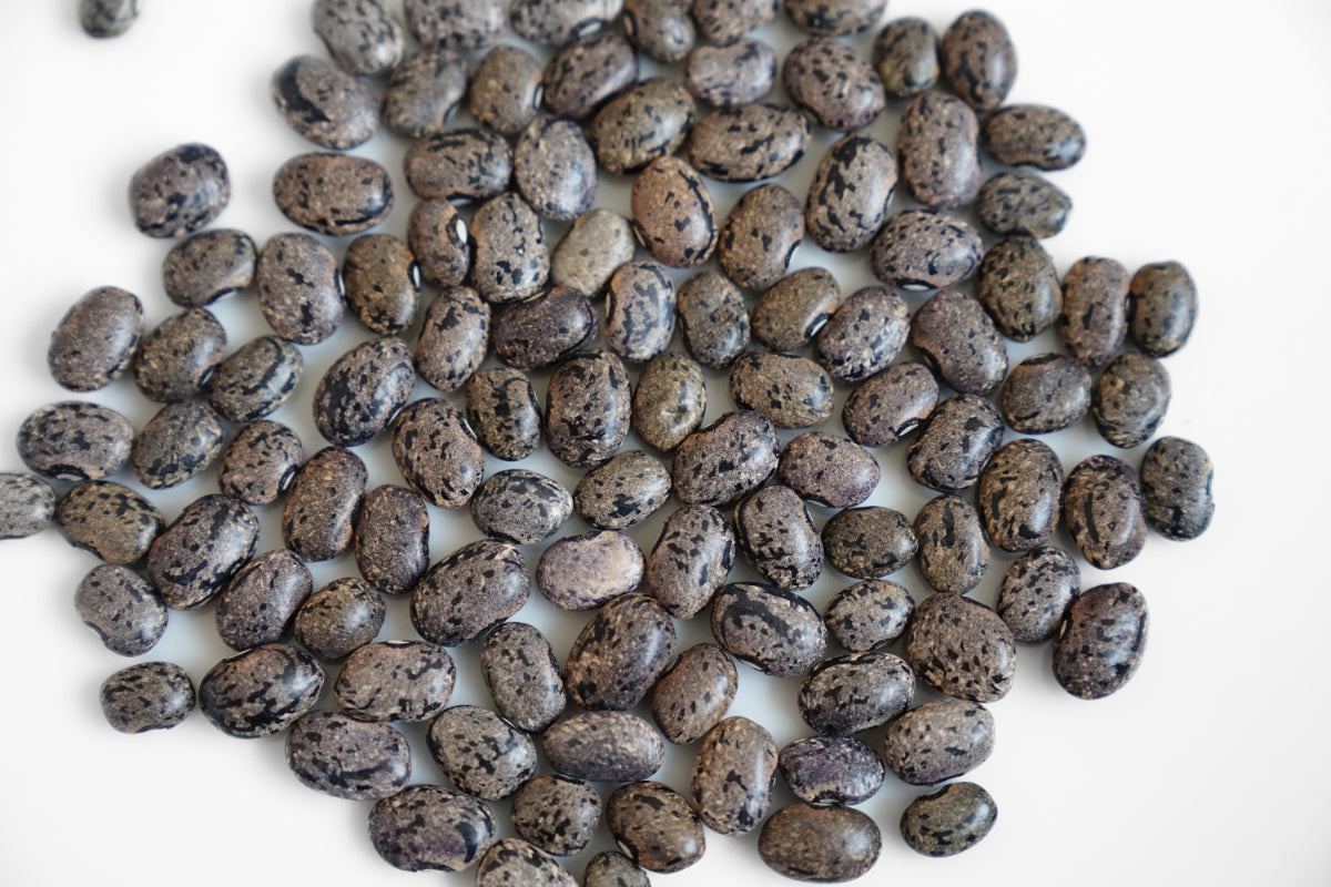FRIJOL MORO DE COSECHA LIMITADA (550g)