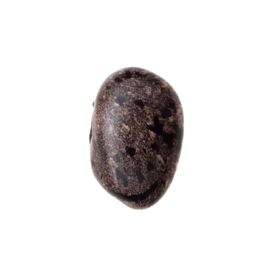 FRIJOL MORO (100g)