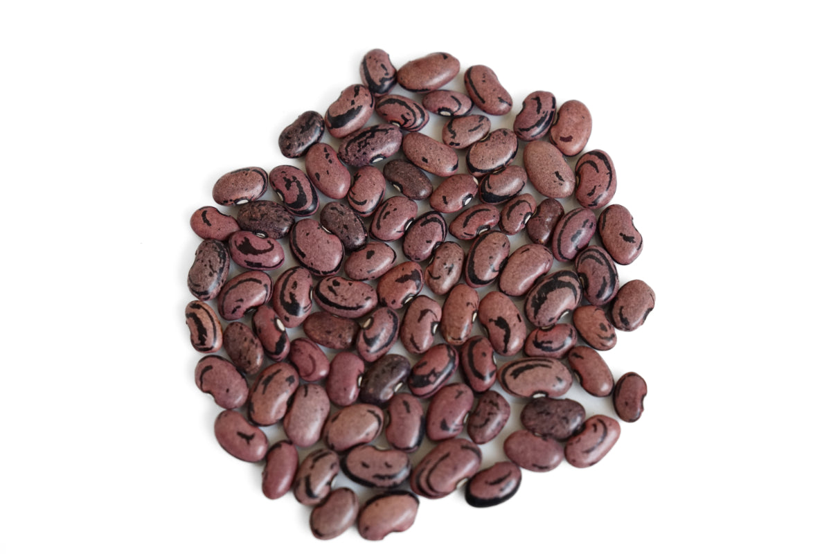 FRIJOL SAN FRANCISCO O SENETE (100g)