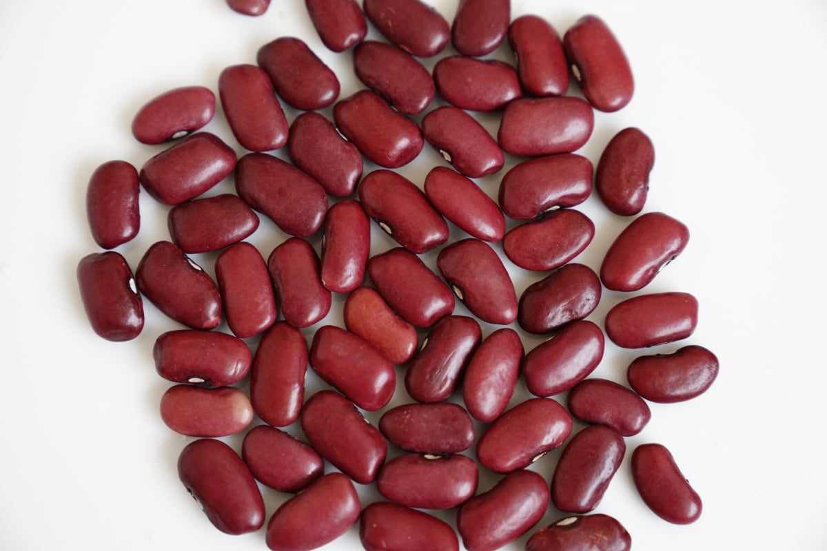 FRIJOL SANGRE DE TORO (100g)