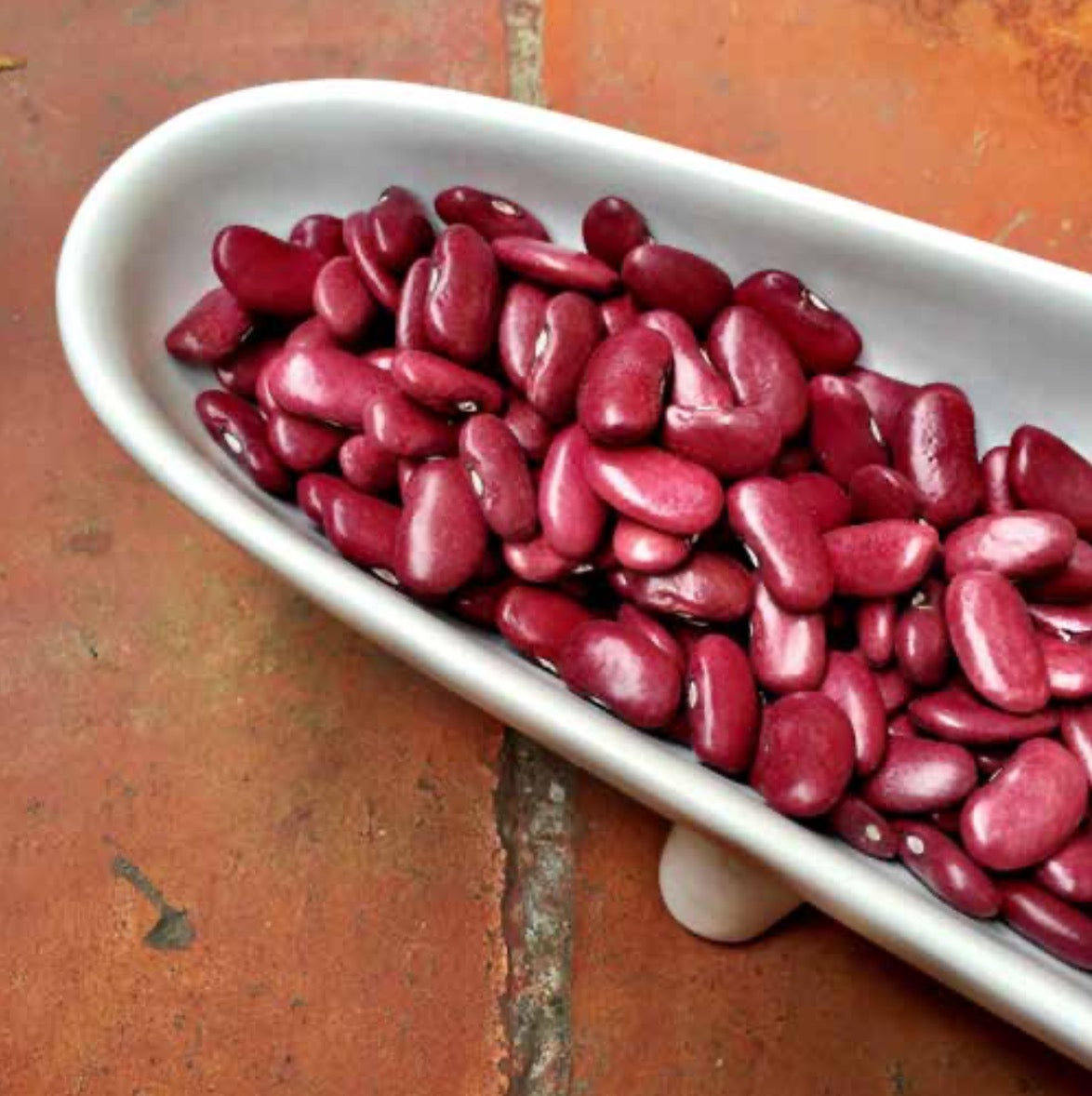 FRIJOL SANGRE DE TORO (100g)