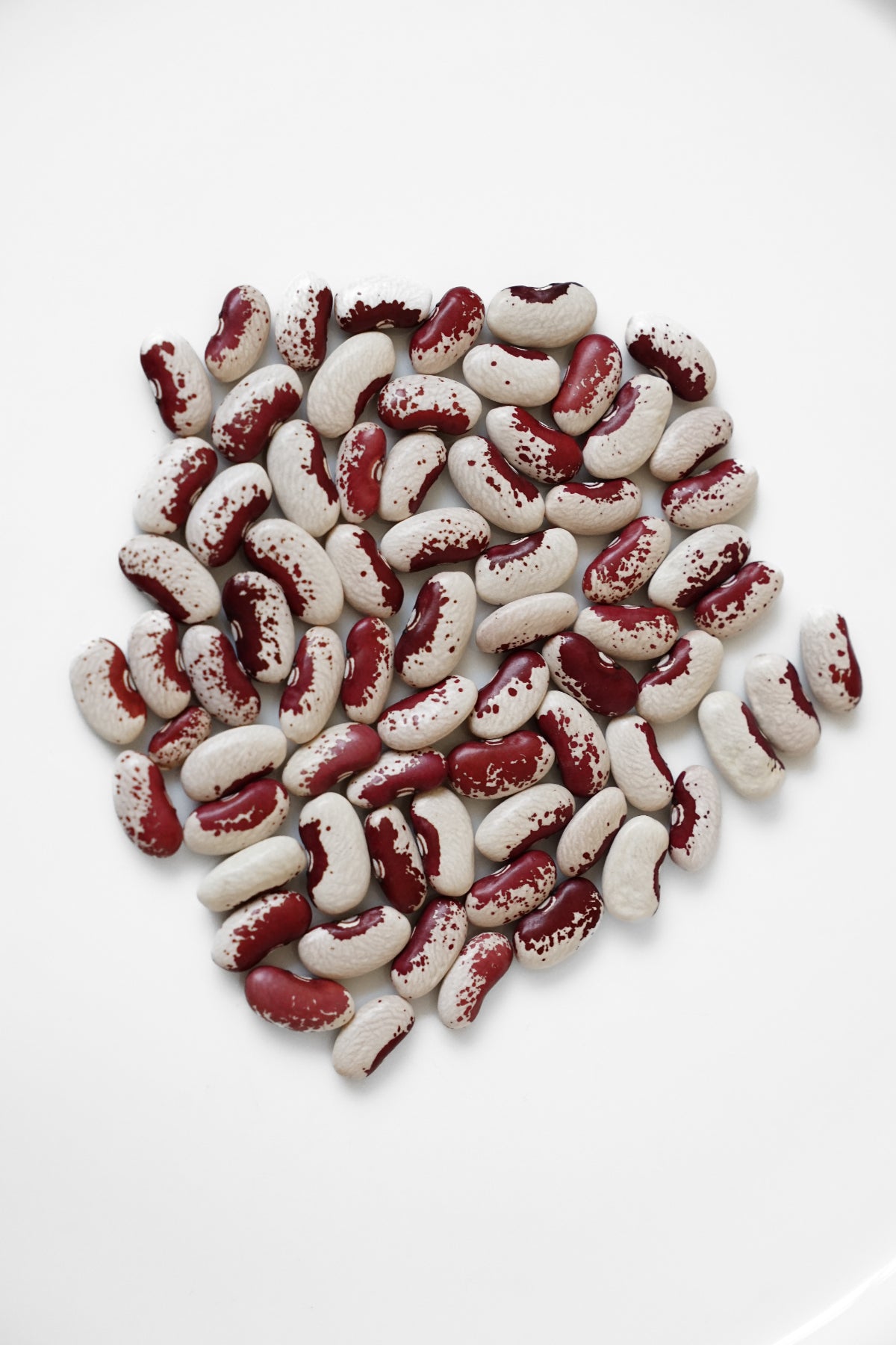 FRIJOL VAQUITA ROJO ARRIÑONADO (100g)