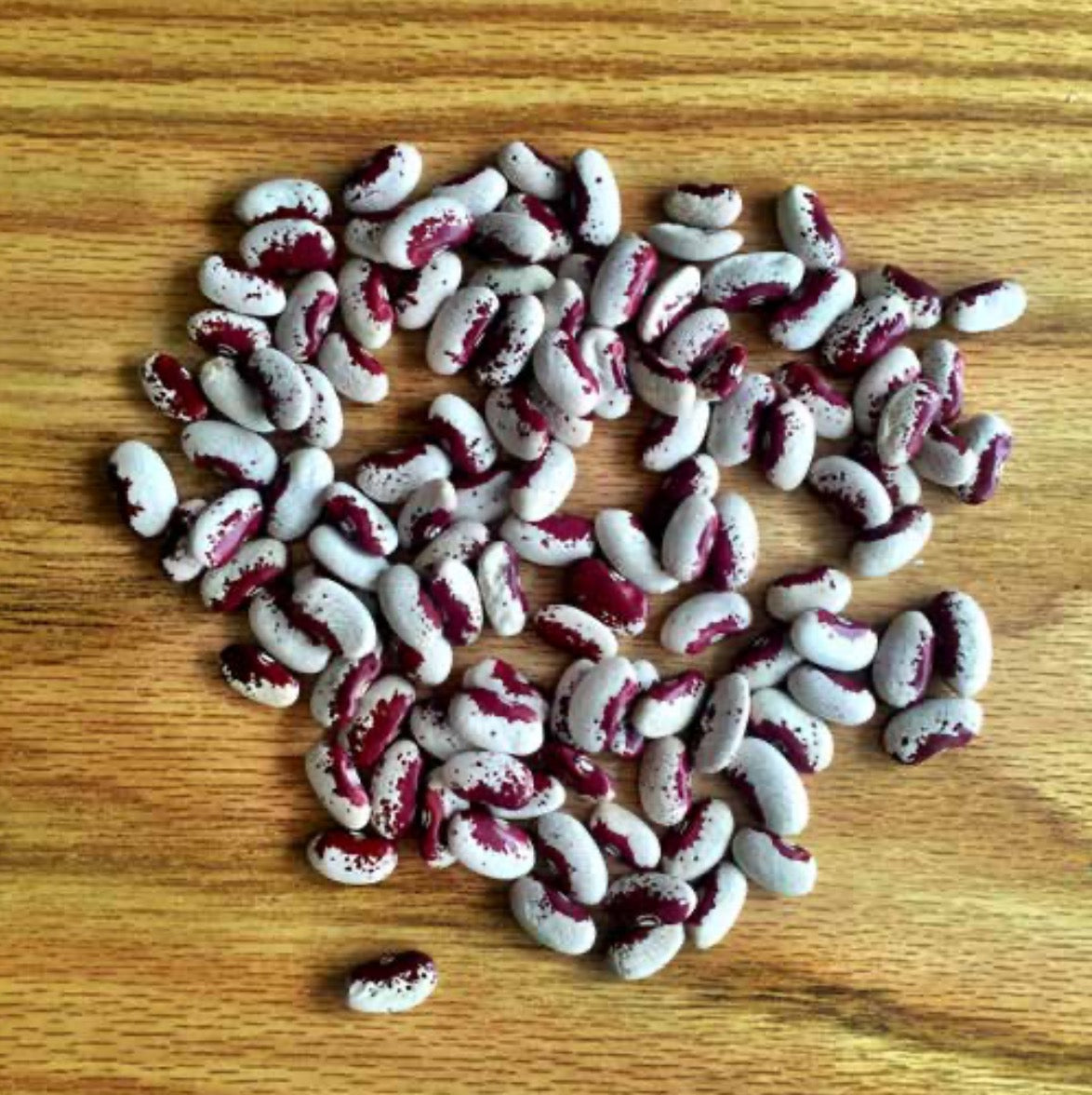 FRIJOL VAQUITA ROJO ARRIÑONADO (100g)