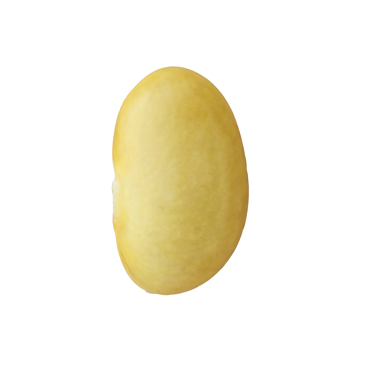FRIJOL PERUANO ORGÁNICO (100g)