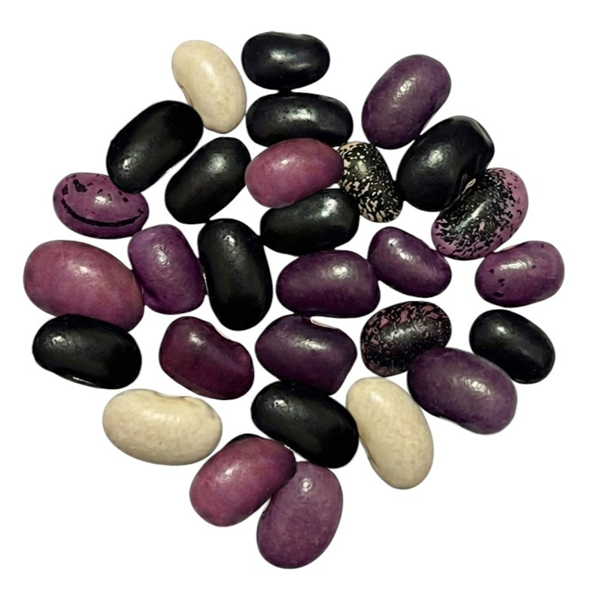 FRIJOL AYOCOTE MEDIANOCHE (100g)
