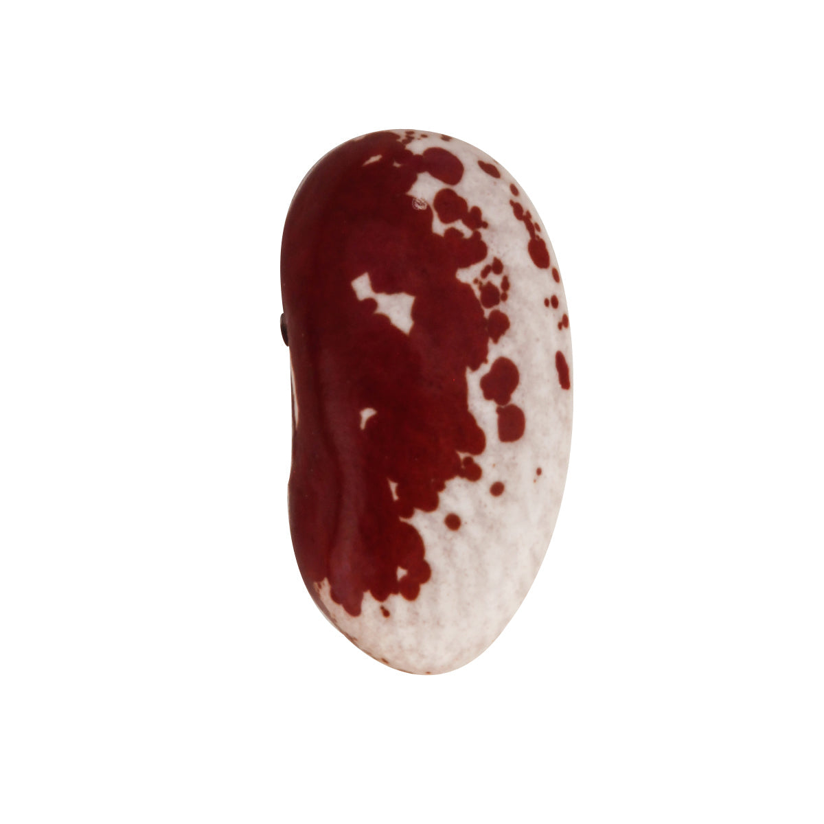 FRIJOL VAQUITA ROJO ARRIÑONADO (100g)